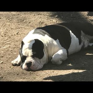 Meet your Posher, Jeffrey